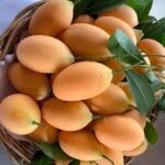 1773374045140_copy_360x480