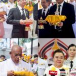 1774652664881_copy_538x761